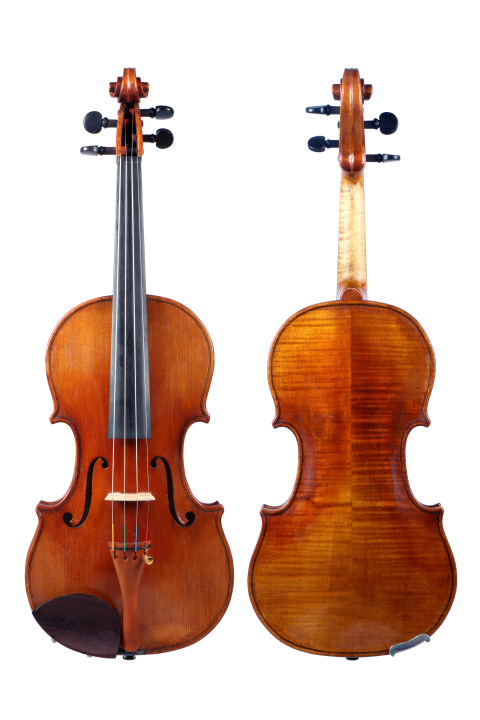 The front and back of the violin by Jun Kageyuki, 2024→2025, 'Takaramono'